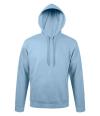 47101 Unisex Snake Hooded Sweatshirt Sky Blue colour image